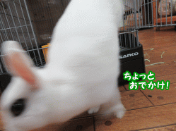 150227d2.gif