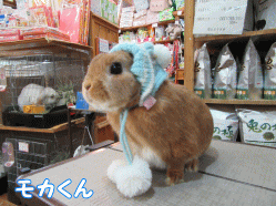 150227a1.gif