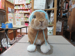 150227a2.gif