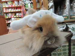 150228b.gif