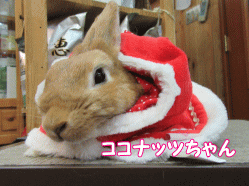 150228u.gif
