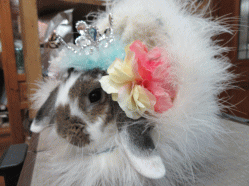 150228z.gif