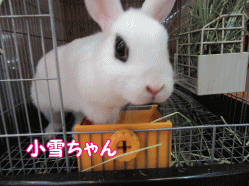 150228z1.gif