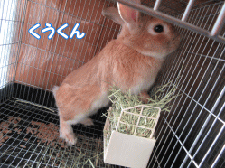 150228z5.gif