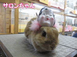 15025e.gif