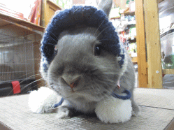 15025l.gif