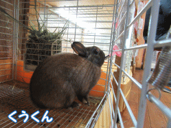 150301e1.gif