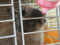 150301e2.gif