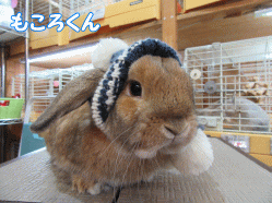 150303e.gif