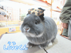 150306a1.gif