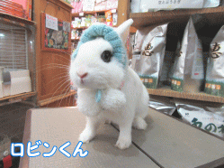 150306b1.gif