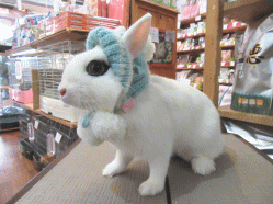150306b2.gif