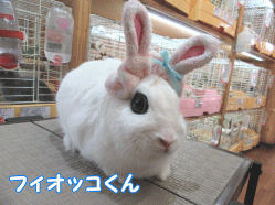 150306c1.gif