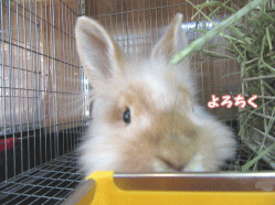 150306f2.gif