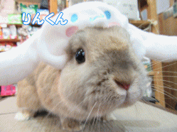 150307m.gif