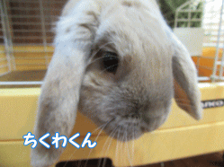 150307x.gif