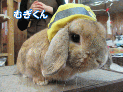 150314e.gif
