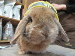 150314f.gif