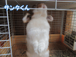 150314k.gif