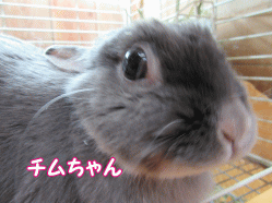 150314m.gif