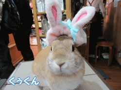 150315h1.gif