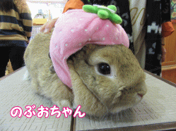 150317e.gif
