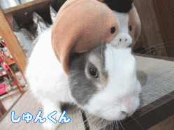 150320b1.gif