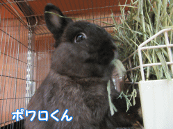 150320c1.gif