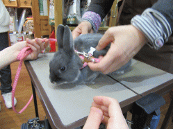 150321f.gif