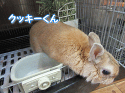 150326g.gif
