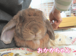 150329b1.gif