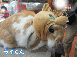 150329h1.gif