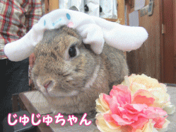 150329i1.gif