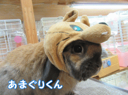 150329k1.gif