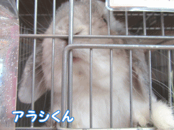 150329m1.gif