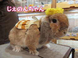 150330a.gif