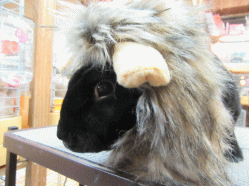 150331b.gif
