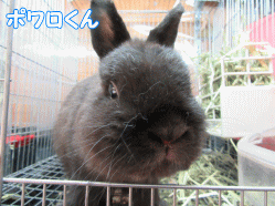 150331e.gif