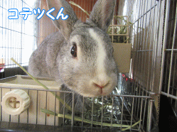 150331i.gif