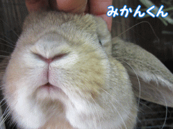 150331k.gif