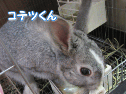 150402a.gif