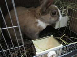 150402f.gif