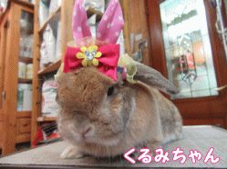150403a1.gif