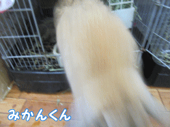 150403d1.gif