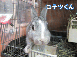 150403f1.gif
