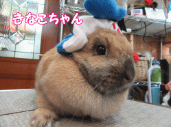 150404a.gif