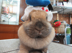 150404b.gif