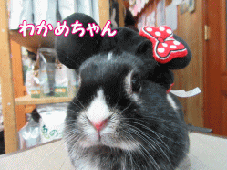 150404c.gif