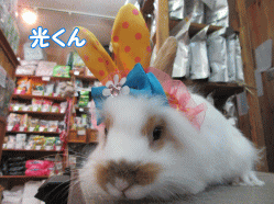 150404e.gif
