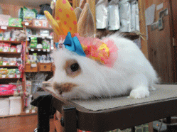 150404f.gif
